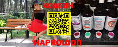 крисы Беслан