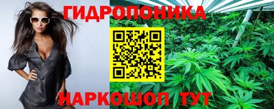 герыч Бийск
