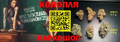 крисы Беслан
