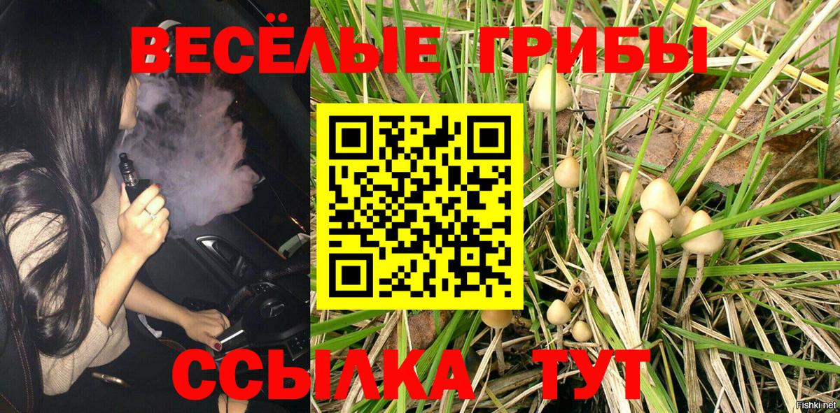 Галлюциногенные грибы MAGIC MUSHROOMS Кимры